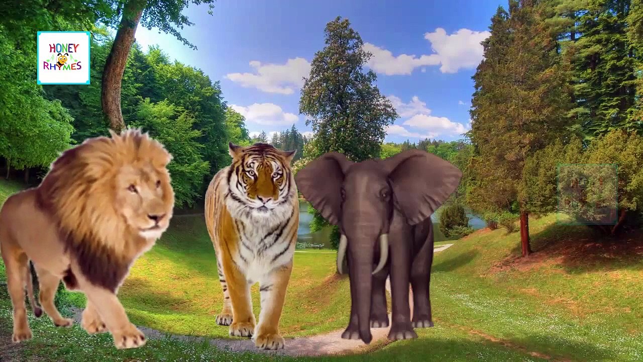 Finger Family Animals _ Fruits And Animals Cartoon Children Finger Family Nursery Rhymes Collection