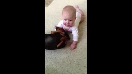 Baby pukes all over dog -Babies Mastia