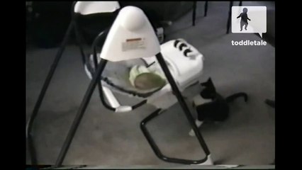 Cat rocks baby to sleep - Babies Mastia