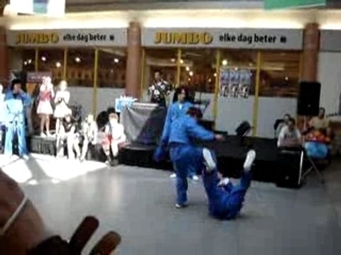 Vovinam Viêt Võ Dao Rompert