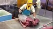 Super Fast Tuna Fish Cutting