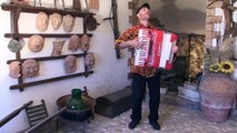 A TUTTO VINO (Polca) musica di Gianni Mirizzi  Fisarmonica Accordion Accordeon Acordeao Akkordion