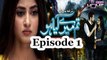 Tum Mere Kya Ho Episode 1 Full in HD PTV Home (Mikaal Zulfiqar & Sajjal Ali)