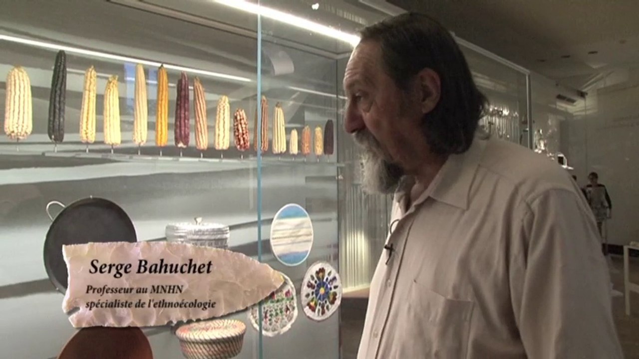 Au Musée de l'homme, Serge Bahuchet montre  la perte de la biodiversité agricole à travers le mais Mexicain