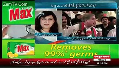 Shah Mehmood Qureshi may join Pervaiz Musharraf's APML