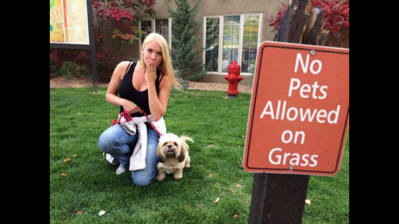 I Do What I Want. Part 63