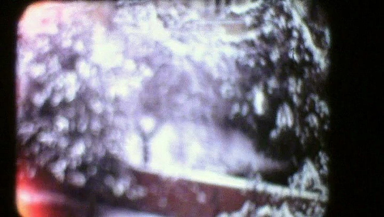 Chute de neige rue Louis-Hervé puis parc du château (Versailles)