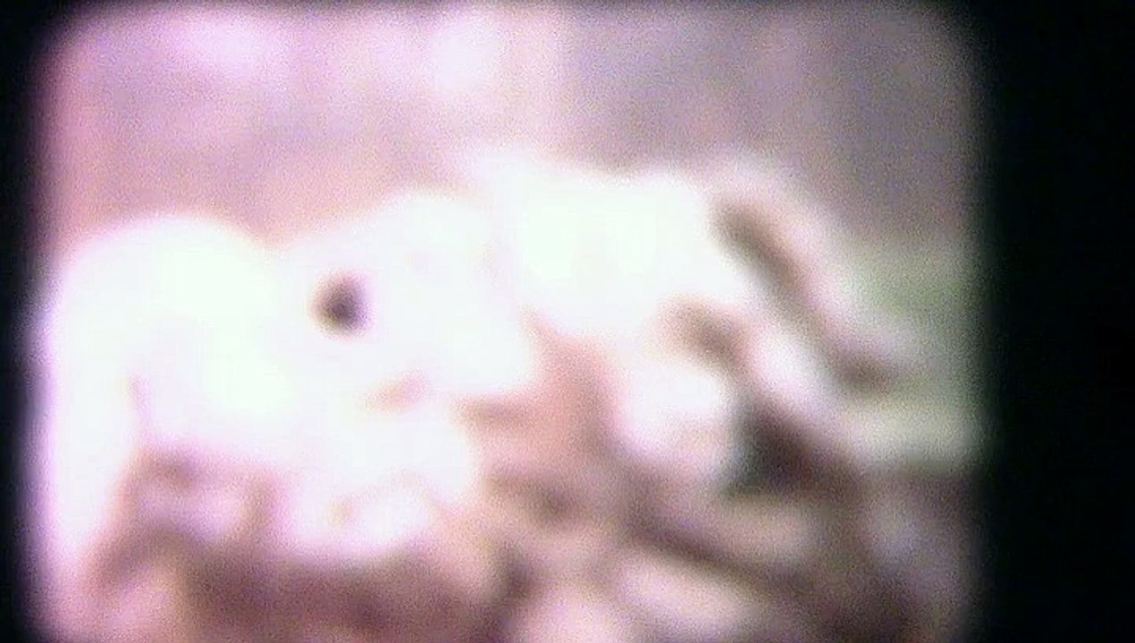 Parc du château avec les Blanchet (1973 - Versailles)