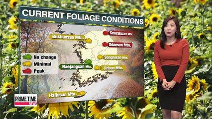 Pleasant Saturday but dusty in some parts