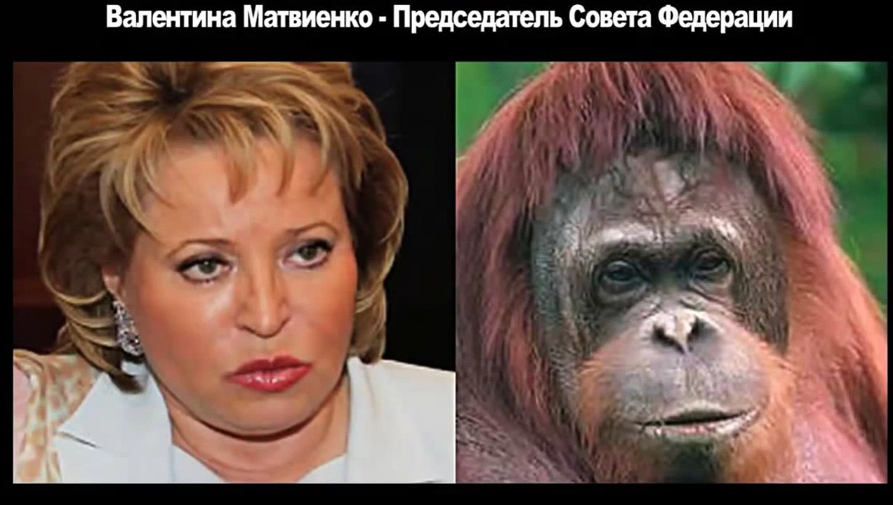 Юмор. Забавные сходства. Политики России. Прикольные фото. Смешное видео