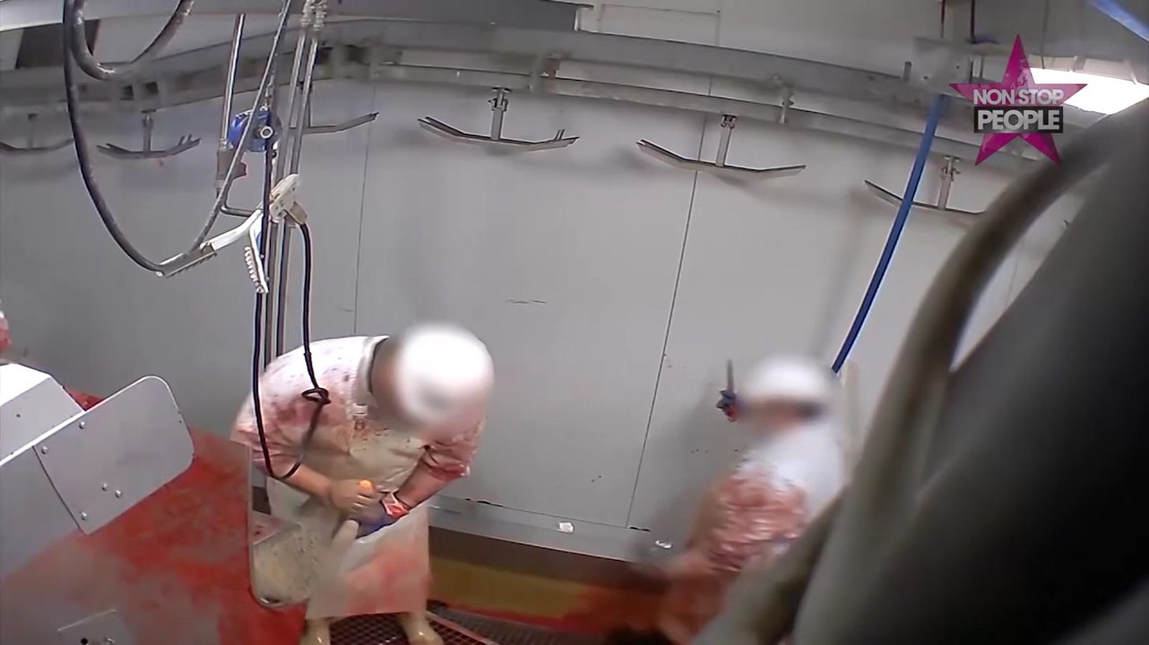 Brigitte Bardot : Ses propos chocs sur l’abattoir d’Alès,"une horreur qui me rappelle les camps d’extermination"