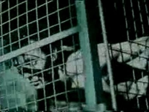 Bauhaus-ziggy stardust