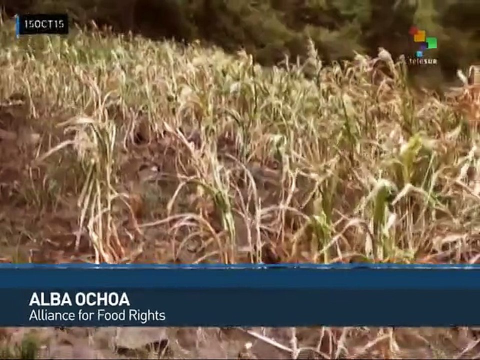 Honduras: Small Producers Propose Solutions to Food Crisis