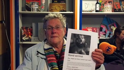 Geemotioneerde Corry: Ik ben wanhopig op zoek naar mn hondje - RTV Noord