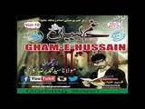 Promo Noha l Nohakhawan Qaseem Haider Qaseem l Muharram 2015 2016 l 1437 Hijri N