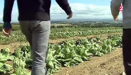 Un potager au bout de mon clavier
