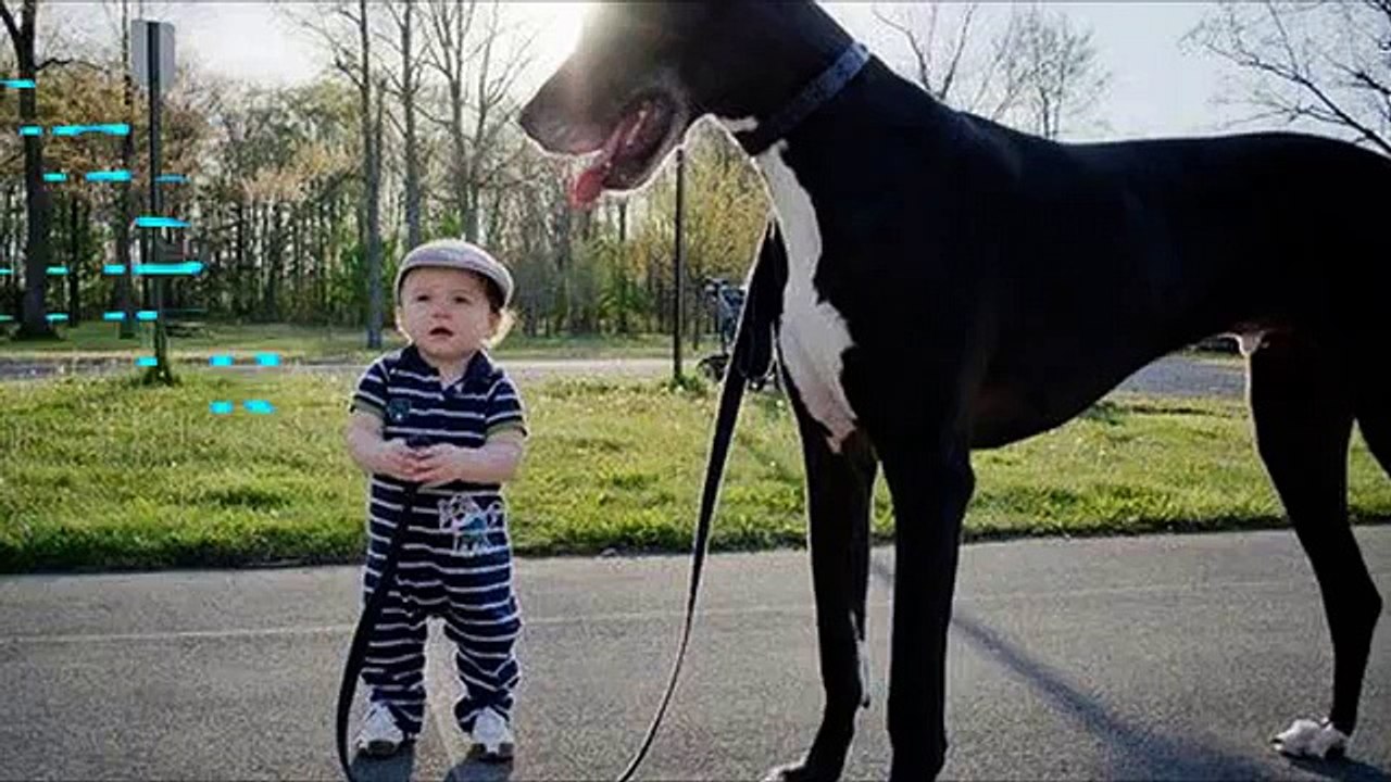 Babies and dogs taking each other for walk