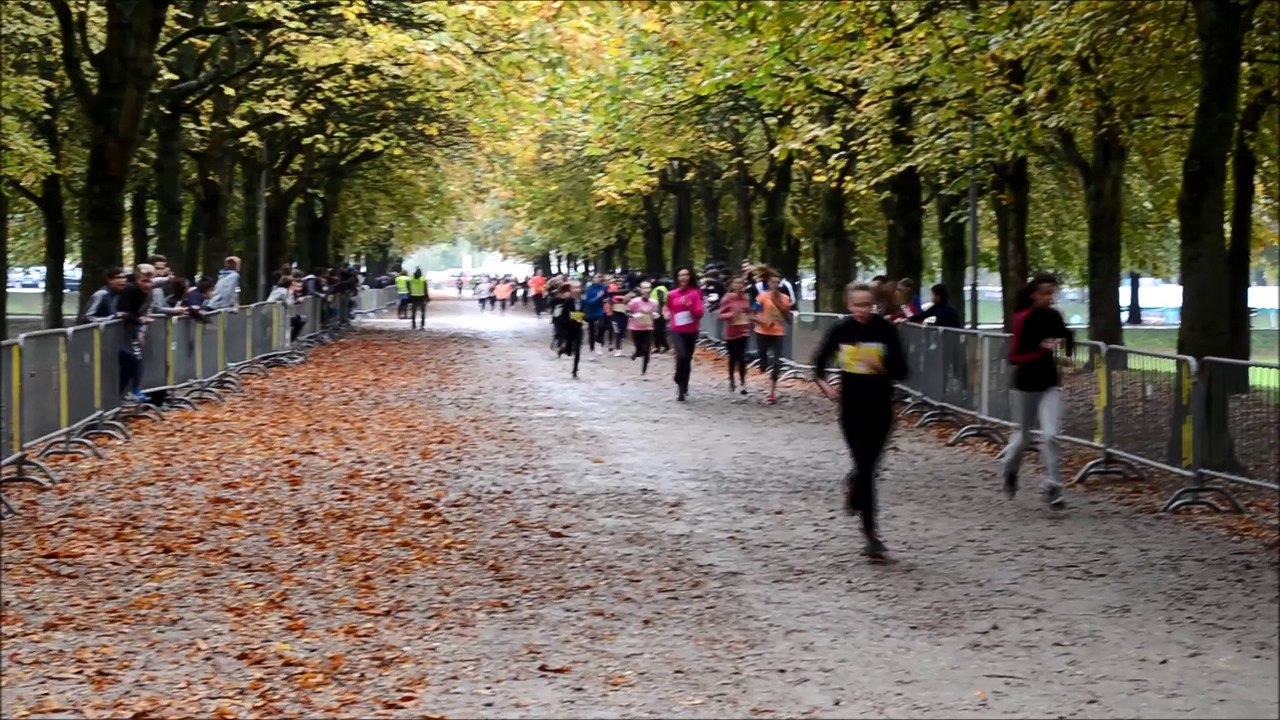3000 collégiens pour le cross de Châlons-en-Champagne