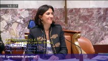 Budget 2016 : intervention en séance de Pouria Amirshahi sur le CICE