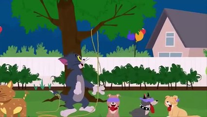 tom and jerry amazon tom and jerry