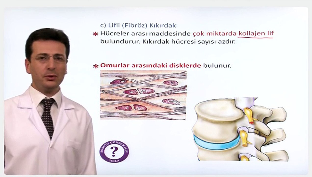 YGS LYS BİYOLOJİ Destek ve Hareket Sistemleri 2
