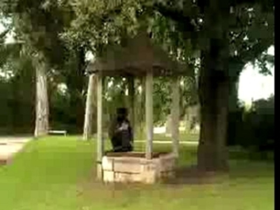 Faites moi souffrir parodie d' alizée