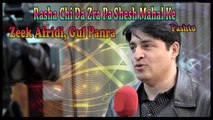 Zeek Afridi, Gul Panra - Rasha Chi Da Zra Oa Shesh Mahal Ke