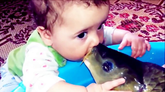 Cute Baby and Fish Pet Kissing Each Other – Funny Babies and Animals