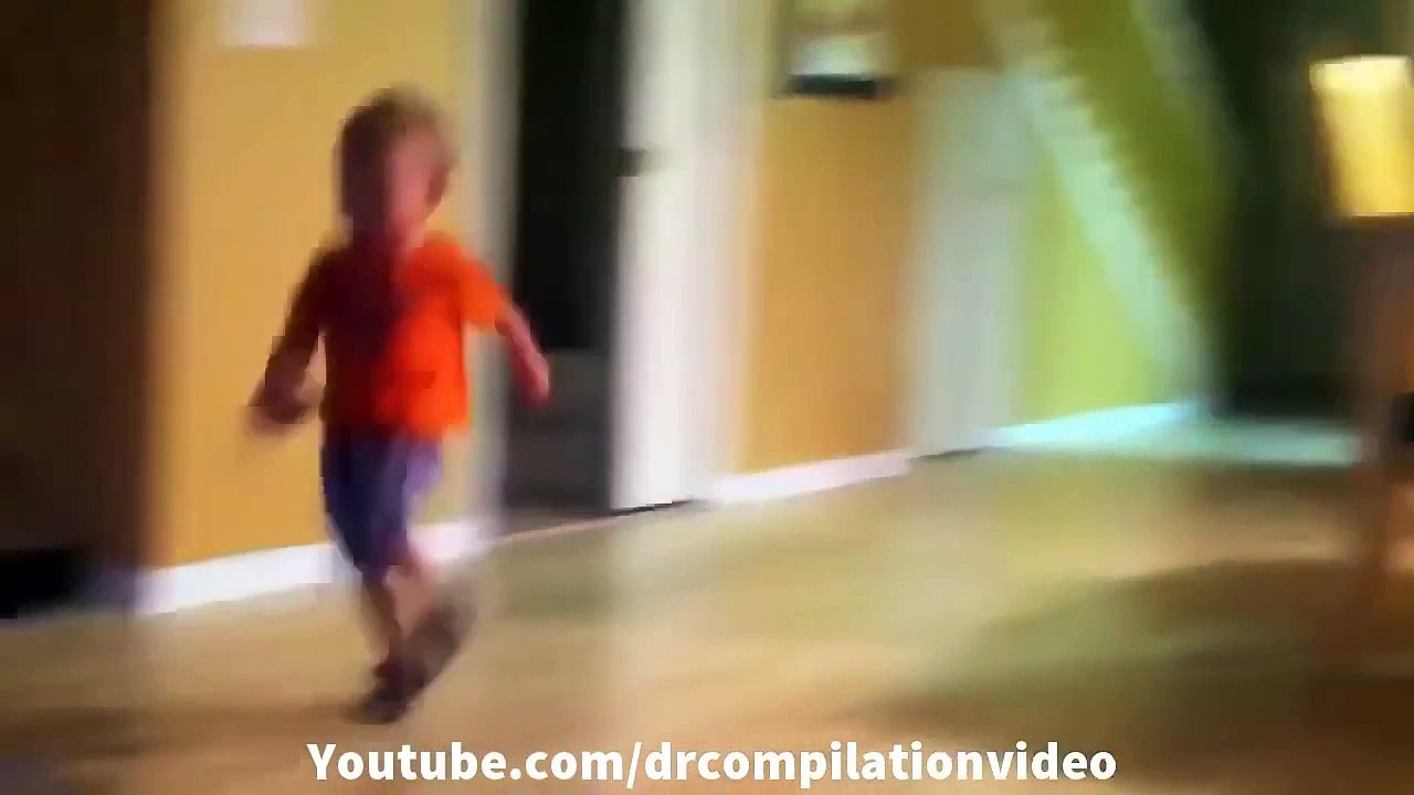 Animal Attacks Compilation 2015 HD #3