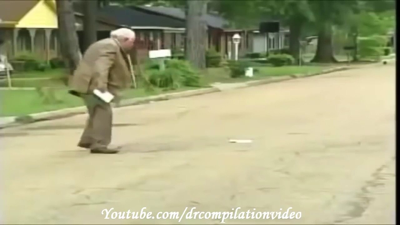 Animal Attacks Compilation 2015 HD #12