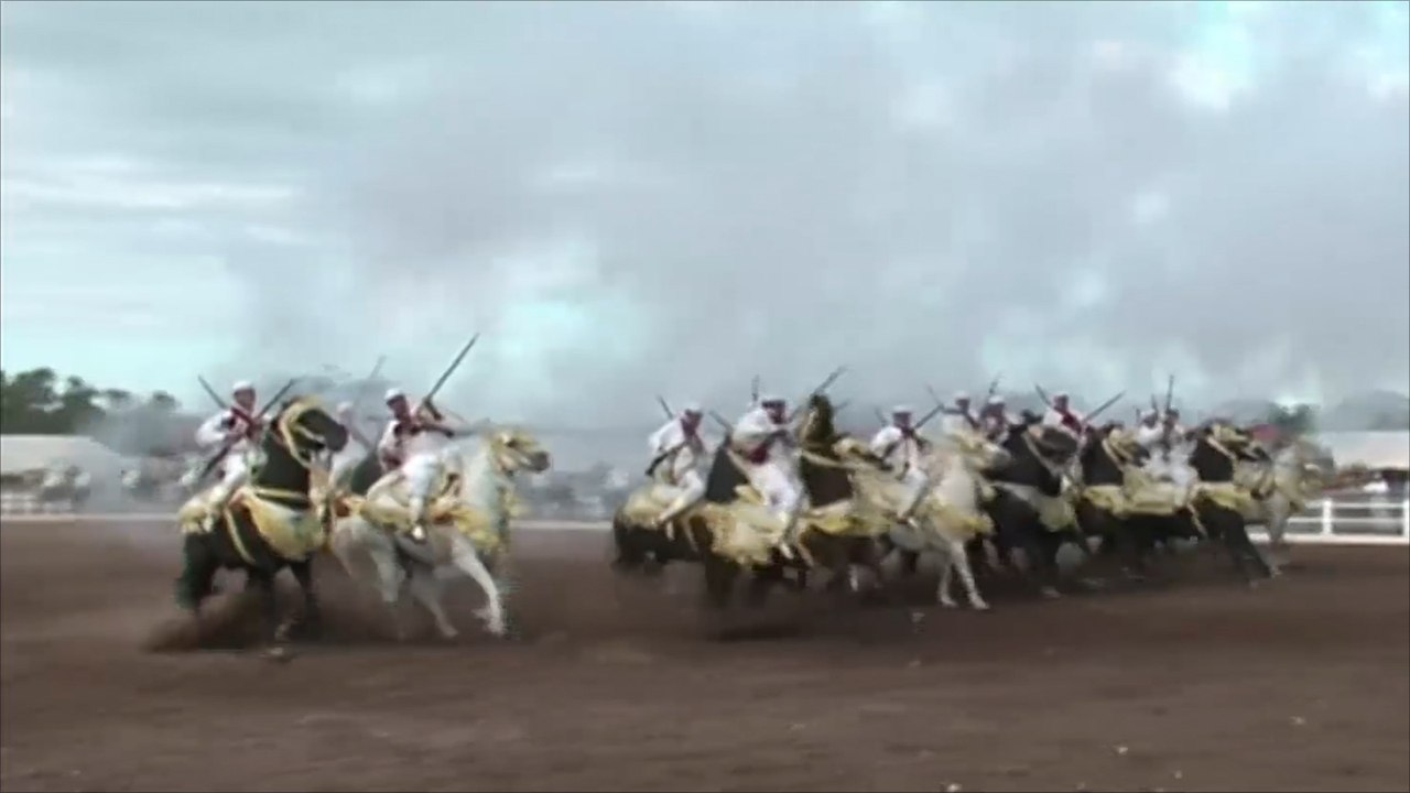 مهرجان الجديدة للخيول العربية في المغرب