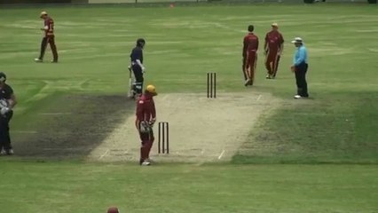The ‘DANGEROUS’ Ball of a Cricket Match, Amazing