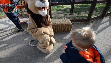 Toddler shows lion whos the boss