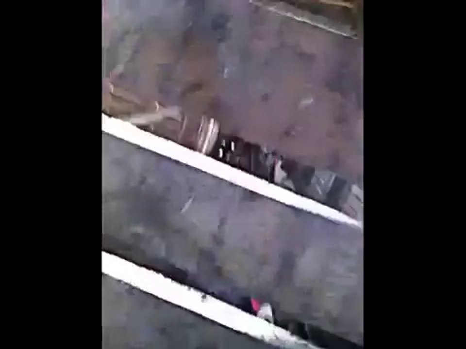 Animal Planet | Discovery Channel | Wild Life Documentary 2015 | National Geographic Wildl