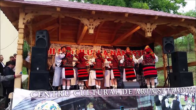 Festival de musique traditionnelle Bârsana Maramures Roumanie