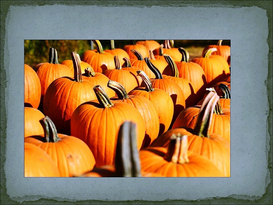hallowen dance