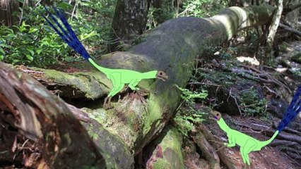 200 Subscribers Special