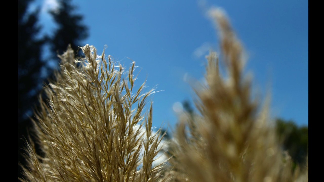 Farben der Natur Herbst_2015_HD