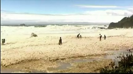 سَـاعِدونـَا علىَ نَشّـر هَذا المَقّطع جـَزاكـُم الله كُـل خَـيرٍ