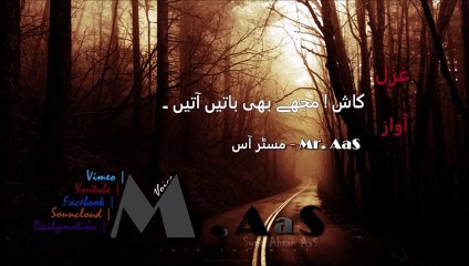 Kaash Mujhe Bhi Baatien Aatien - Mr. AaS