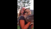 Funniest Goose Video Ever | FunnyOrLie