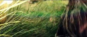 The Last Witch Hunter Official Preview Trailer (2015) - Vin Diesel, Rose Leslie Fantasy HD