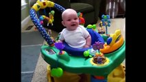 Top 10 Funny Babies Laughing Hysterically At Dogs Eating Bubbles Compilation