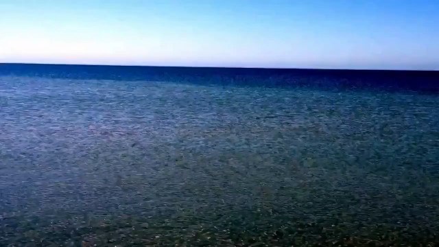 Странная рыба приплыла к берегу!