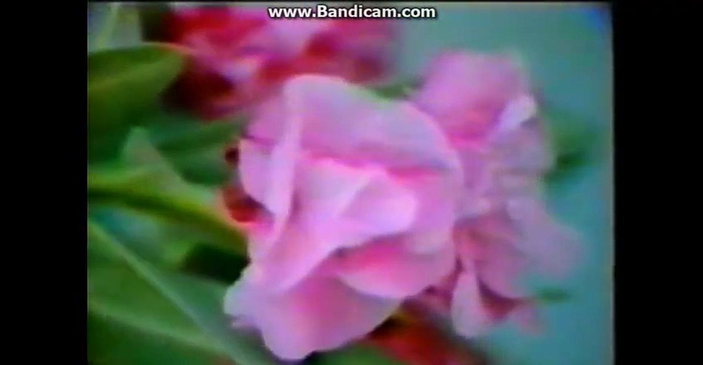 Naghma & MANGAL chap sha cha ta ma waya jora ba yarana ko