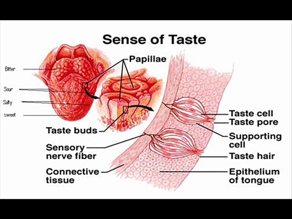 How to Increase Sex Power in Men by Food Natural healthy stamina without medicine in Hindi