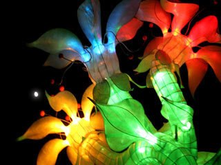 Boom festival 2006 - part2