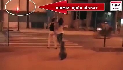 Un chien bien élevé traverse au feu vert!!!