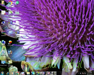 Oracle Urdu Class 17