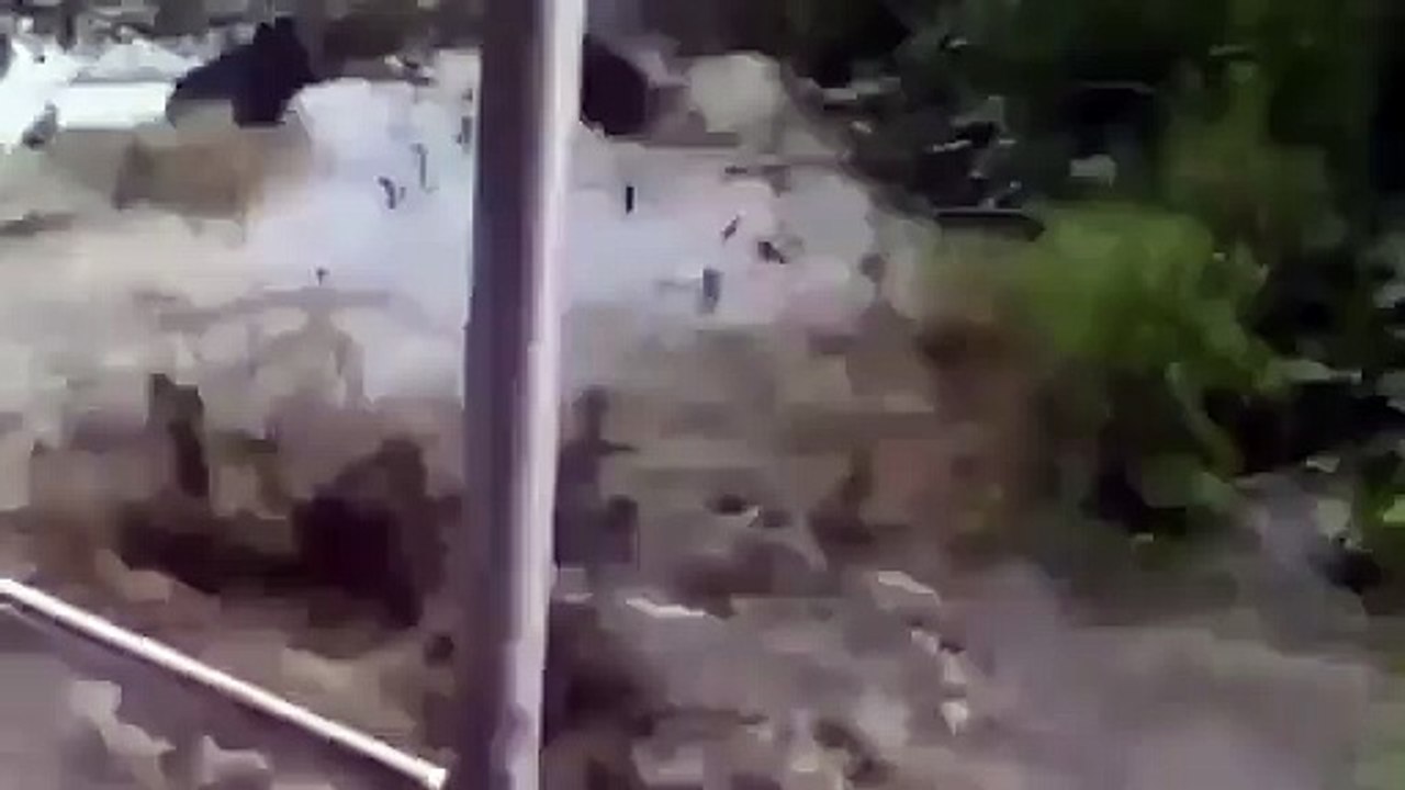 Timsah koca domuzu böyle yuttu! HAYVANLAR ALEMİ - Funny Video - video Droles